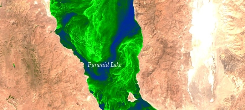 satellite photo of lake with large green patch of algae