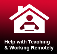 Remote Teaching and Working