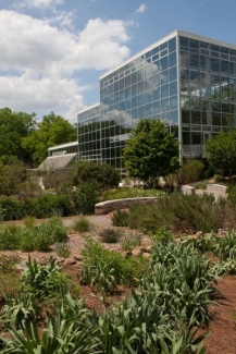 glass building surrounded by plants