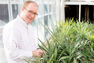 man with spiky plants 