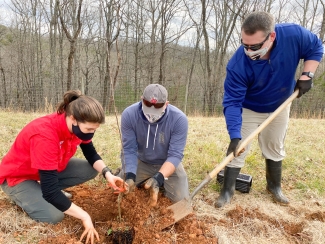 photo of three people planting trees