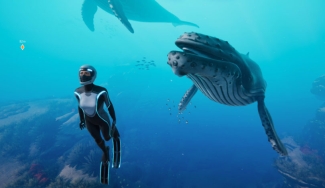 still image from undersea video game, with diver and whale