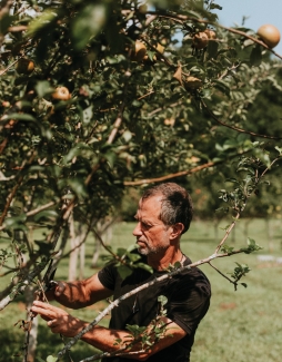 photo of man with apple tree, day