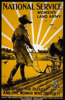 yellow and white poster graphic of woman, plow, sun rise