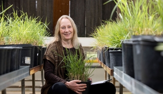 photo of woman with potted grass plants