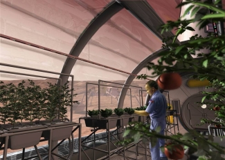 CGI rendering with figure and plants in greenhouse