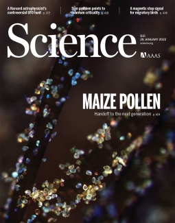 magazine cover illustration with white text and crystals on leaf