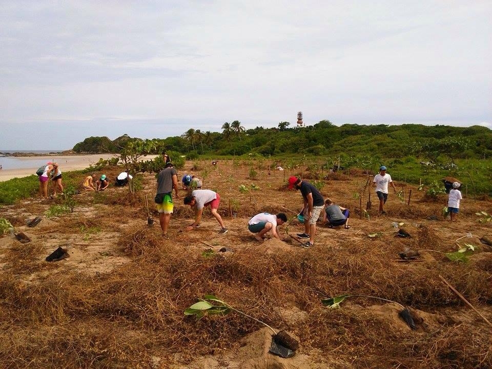 UGA students planting trees in Costa Rica