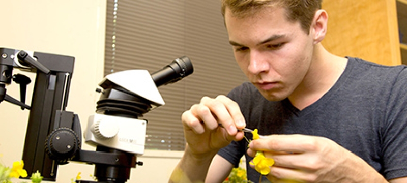 man with yellow flower and microscope