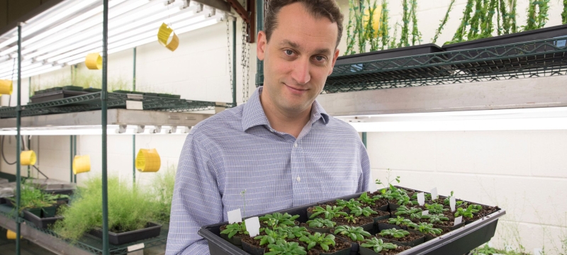 photo of man with case of small plants