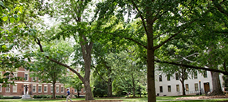UGA North campus with trees