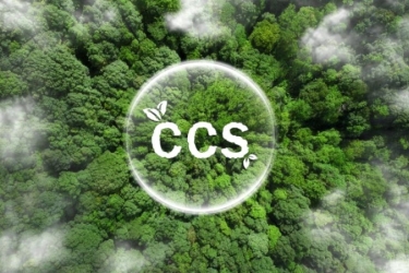 overhead photo of forest, with text/graphic in white