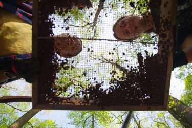 photo of two people through screening sift, from below.