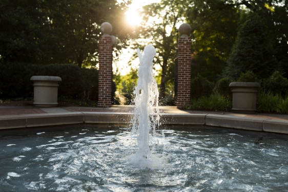 photo of water in fountain, morning