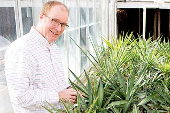 man with spiky plants 