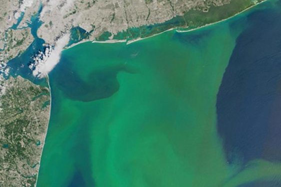algae bloom photo from space