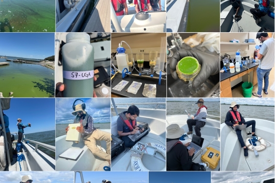 grid of 17 photos, with boats, water, research tools, people