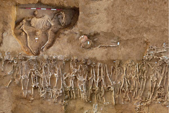 photo of ground with uncovered skeletons of humans and horse