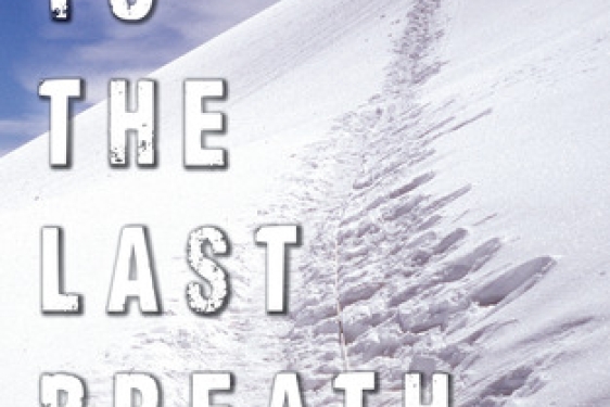 snowy mountain book cover