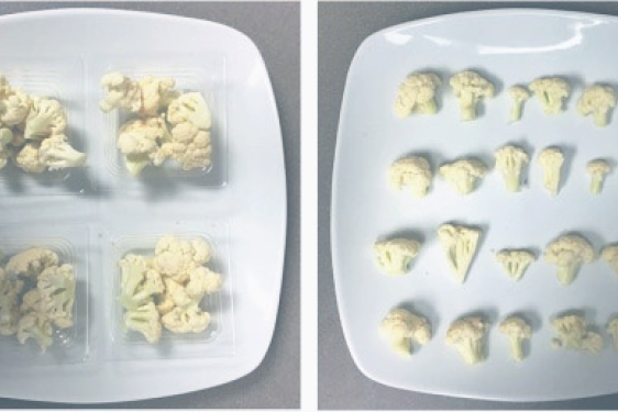 photo of two plates of cauliflower