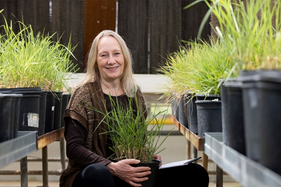photo of woman with potted grass plants