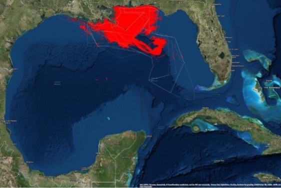 satellite photo of Gulf of Mexico, with red spill outline