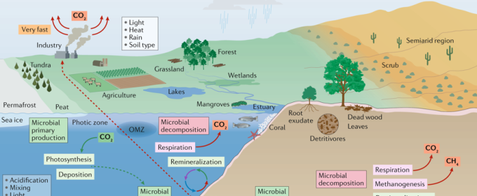 color figure illustration of land, sea and sky, with labels
