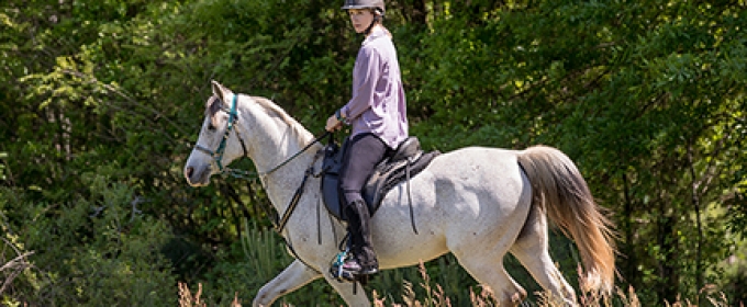 photo of woman on horseback