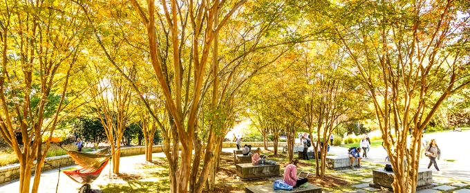 photo of students on benches under tree canopy