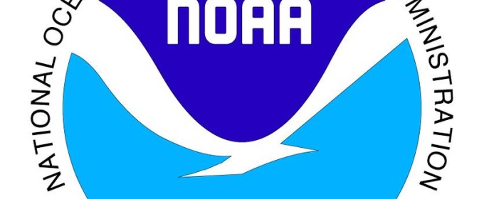 logo with bird silhouette and blue/white text