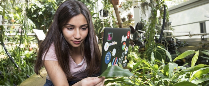 photo of woman with laptop and plants