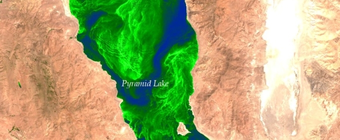 satellite photo of lake with large green patch of algae