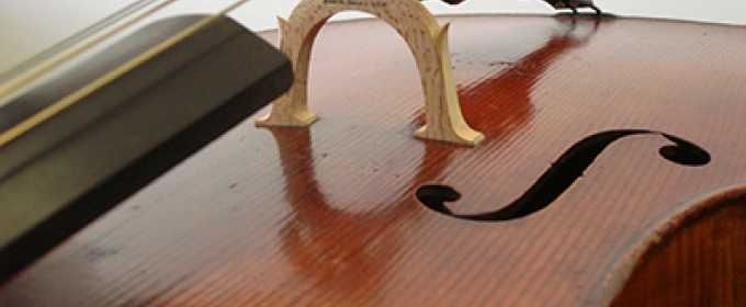 cello close up