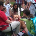 group of students gathered around a tan dog