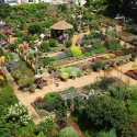 aerial view of the Trial Gardens