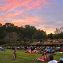 photo of lawn with people, twilight sky